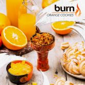 Burn 25 гр - Orange Cookies (Апельсиновое Печенье)