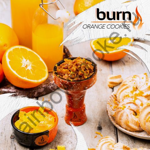 Burn 25 гр - Orange Cookies (Апельсиновое Печенье)