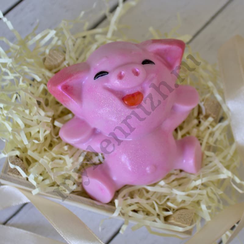 Пластиковая форма Веселая свинка