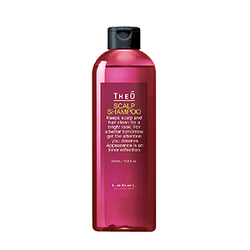 Lebel Theo Scalp Shampoo - Многофункциональный мужской шампунь 320 мл