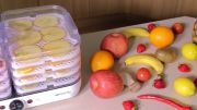 Дегидратор для овощей и фруктов Gochu D-310 www.sklad78.ru