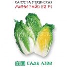 Kapusta-pekinskaya-Mini-Rajo-50-F1-Sady-Azii