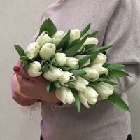 11 тюльпанов в упаковке(тут можно выбрать цвет)