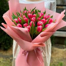 Тюльпаны (розовые)