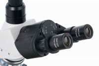 Микроскоп темнопольный Levenhuk 950T DARK, тринокулярный - окуляры