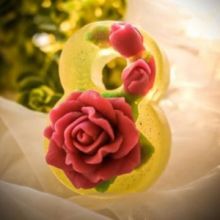 Силиконовая форма для мыла Восьмерка с розами