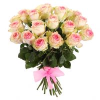 21 розовая роза сорта “Esperance”