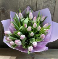 25 розовых тюльпанов в красивой упаковке