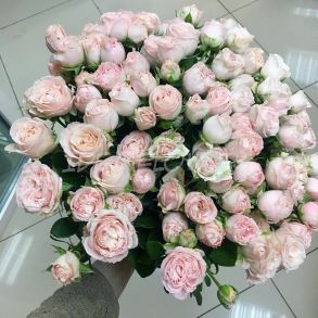 Букет из кустовых роз Бомбастик