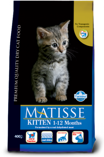Matisse Kitten (Матисс для котят)