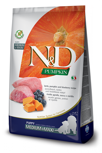 N&D Pumpkin Lamb & Blueberry Puppy medium&maxi (ягненок, черника и тыква для щенков всех пород)