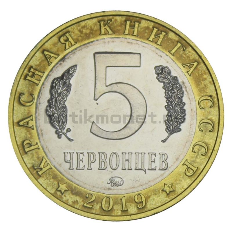 Россия Монетовидный жетон 5 червонцев 2019 ММД Гигантская Бурозубка (Красная Книга)