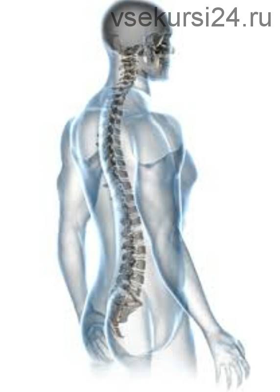 Коррекция мышц для укрепления спины и осанки