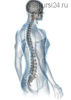 Коррекция мышц для укрепления спины и осанки