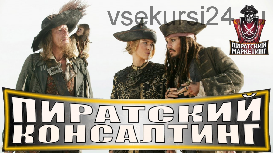 Пиратский консалтинг 2.0, пакет «Золото» (Сергей Янчевский)