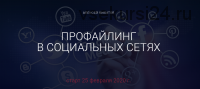 Профайлинг в социальных сетях - 2020, тариф «Оптимальный» (Алексей Филатов)