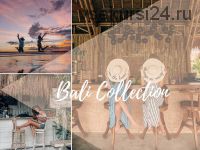 Bali Collection Lightroom Presets, 2018 (Lisa Homsy)
