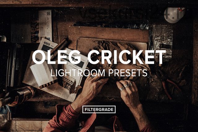 Vintage Lightroom Presets (Oleg Cricket)