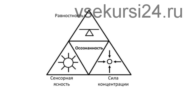 Практика базовой осознанности: Основной курс (Виктор Ширяев)