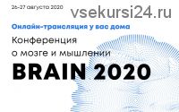 [Университет Синегрия] Brain 2020. Конференция о мозге и мышлении. Пакет Стандарт (Дэвид Иглмен)