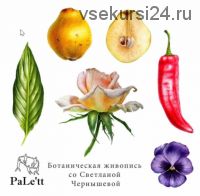 [Art-studio PaLe'tt] Ботаническая живопись (Светлана Чернышева)