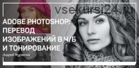 Adobe Photoshop: перевод изображений в чб и тонирование (Андрей Журавлёв)