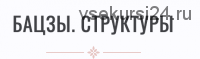 Профессиональная программа обучения бацзы шаг 3 (Инна Волкова)