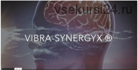 Vibra-Synergyx (Александр Клинг)