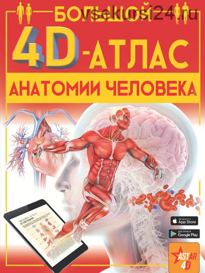 Большой 4D-атлас анатомии человека (Анна Спектор)