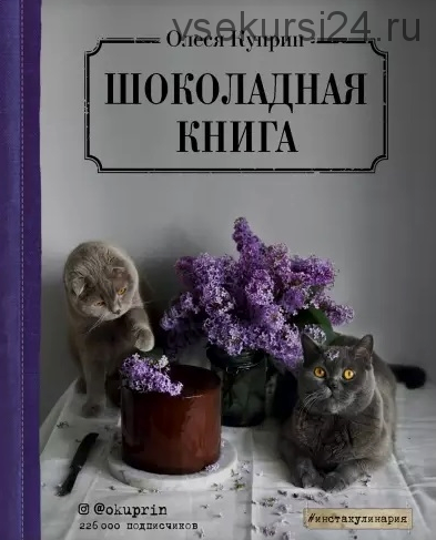 Шоколадная книга (Олеся Куприн)