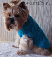 Описание вязание свитера-безрукавки для маленькой собачки (Elenatricoter)