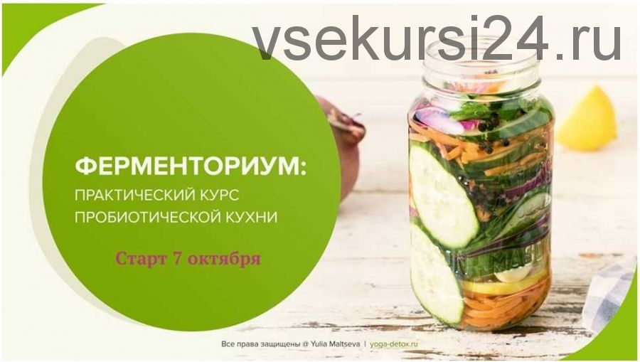 Ферменториум: практический курс пробиотической кухни (Юлия Мальцева)