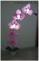 Орхидея-торшер (Татьяна Мирзизанова)