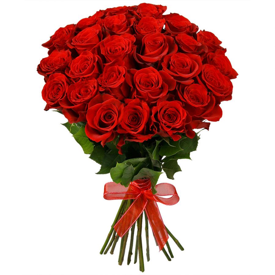 Букет из красных эквадорских роз от 19 шт
