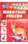Демонстрационный материал А4 Животные России