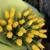 Желтые тюльпаны (от 7 шт)