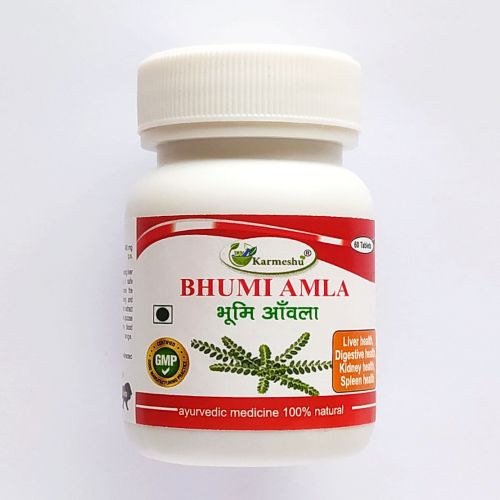 Бхуми Амла | Bhumi Amla | 500 мг | 60 таб | Karmeshu
