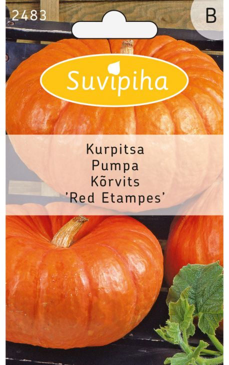 Suvipiha Тыква RED ETAMPES 2483
