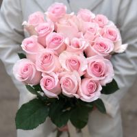 Розовые Эквадорские розы