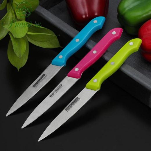 Набор кухонных ножей «Цвета», 3 предмета, лезвие 12 см, цвет МИКС