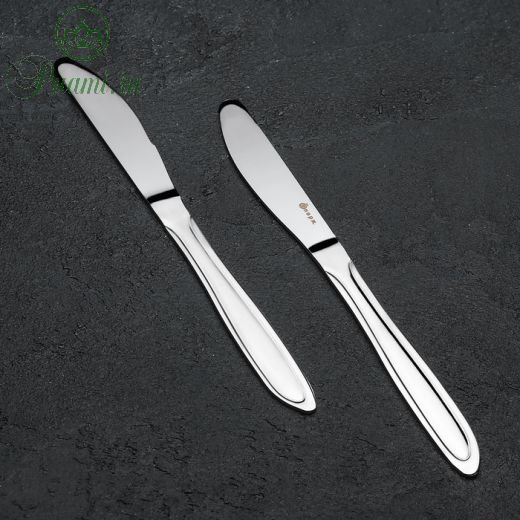 Нож столовый «Вираж», h=20 см
