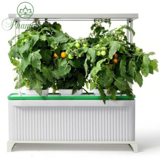 Гидропонная установка с фитолампой, 3 ячейки, HobbyFarm