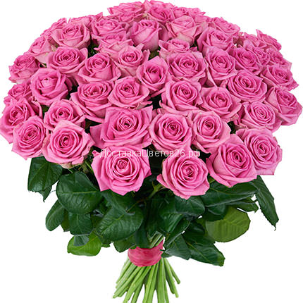 Букет из розовых роз (Россия 50, 60, 70 см)