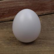 Яйцо куриное белое (пластик)