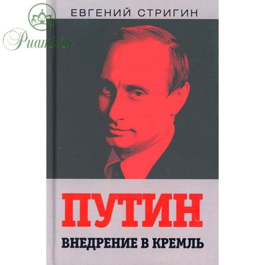 Путин. Внедрение в Кремль. Стригин Е. М.