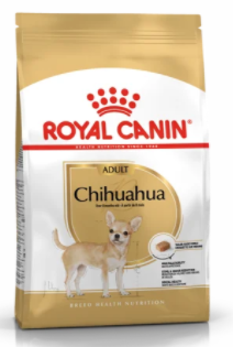 Chihuahua