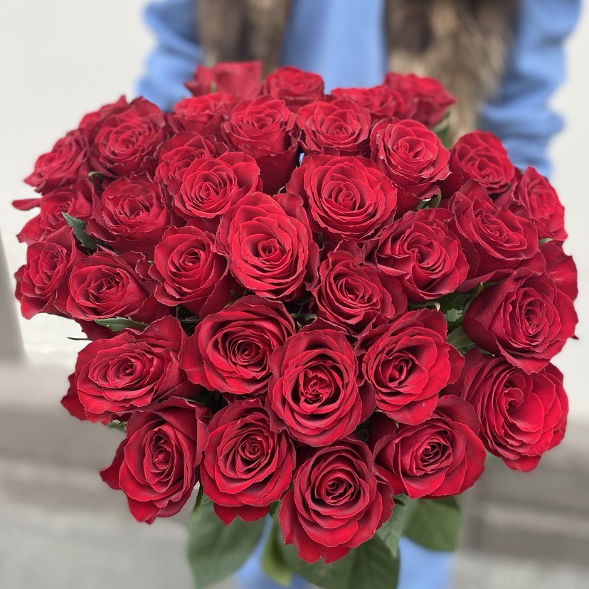 Розы красные 50-60 см (от 11 шт.)