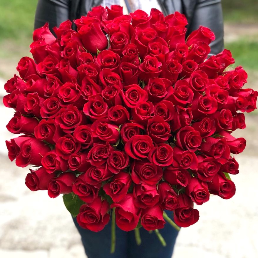 Супер цена! 101 красная роза 70 см
