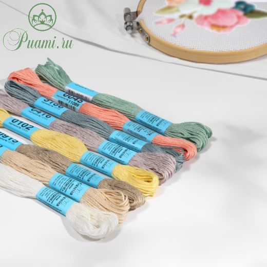 Набор ниток мулине «Pastel», 8 ± 1 м, 9 шт