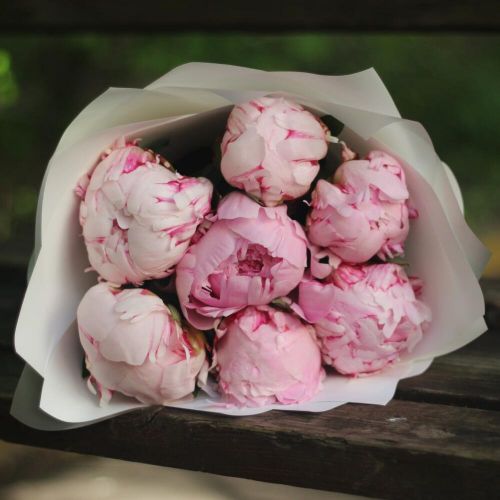 7 нежно розовых пионов в упаковке